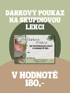 Dárkový poukaz na LEKCI 180,-