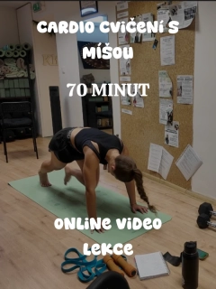 CARDIO cvičení S MÍŠOU 70' VIDEO LEKCE