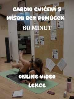 CARDIO cvičení S MÍŠOU bez pomůcek 60' VIDEO LEKCE